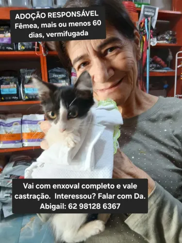 ADOÇÃO RESPONSÁVEL FILHOTE GATINHA