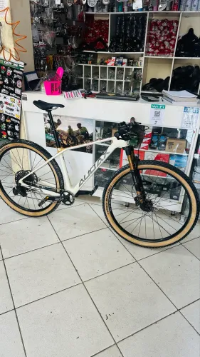 Audax auge 800 Carbon 