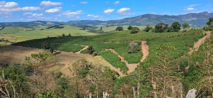 Uma Oportunidade Ímpar te aguarda na Zona Rural de Carmo de Minas, Fazenda de 63 Hectares
