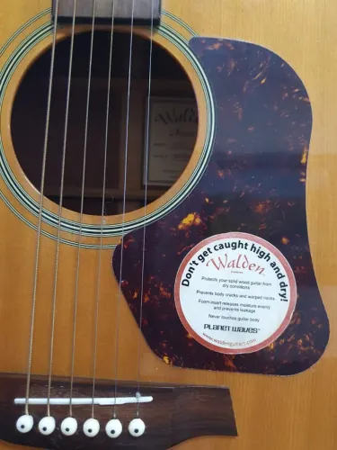 Violão Walden - D555 - CE