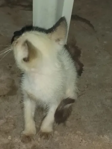 Doação