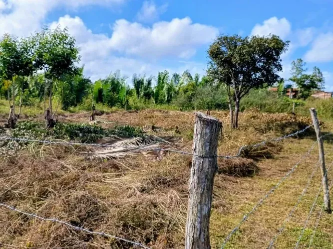 vendo terreno 432 m², em na rua da usina pacas pinheiro ma