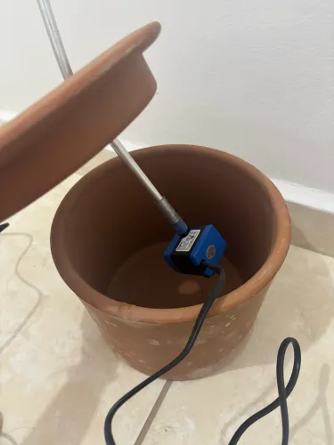 Bebedouro - Gato - Usado poucas vezes
