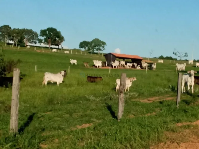 Vendo!!! fazenda de 2.995 hectares Itiquira Mato Grosso MT