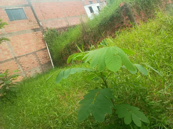 vende se terreno
