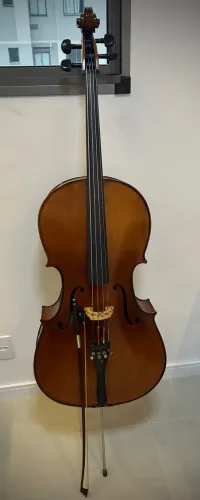 Violoncelo Eagle CE300 4/4 completo - revisado por luthier + acessórios