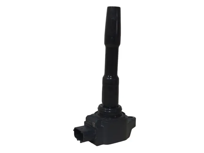 Bobina De Ignição Duster 1.6 2015/2019