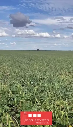 Fazenda para Venda em Riachão das Neves