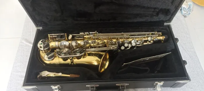Saxofone Alto Eagle SA-500 Impecável, Pronto para Tocar!