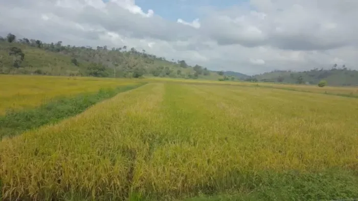 Excelente Terreno em Aimorés - MG 