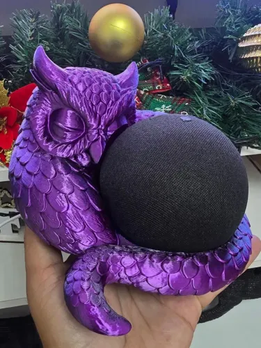 Suporte para Alexa 