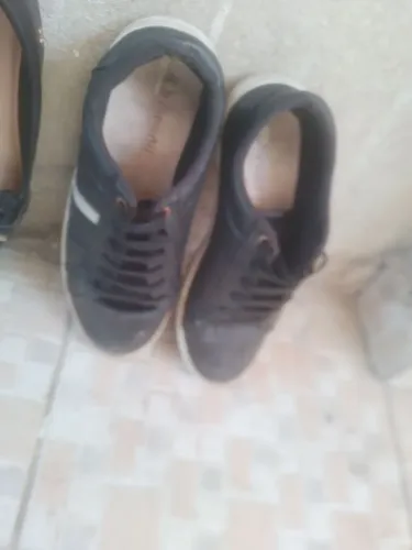 Tenis tam 36
