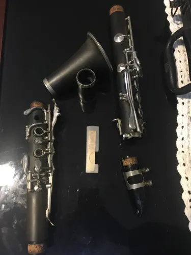 Clarinete Shelter Bb 
