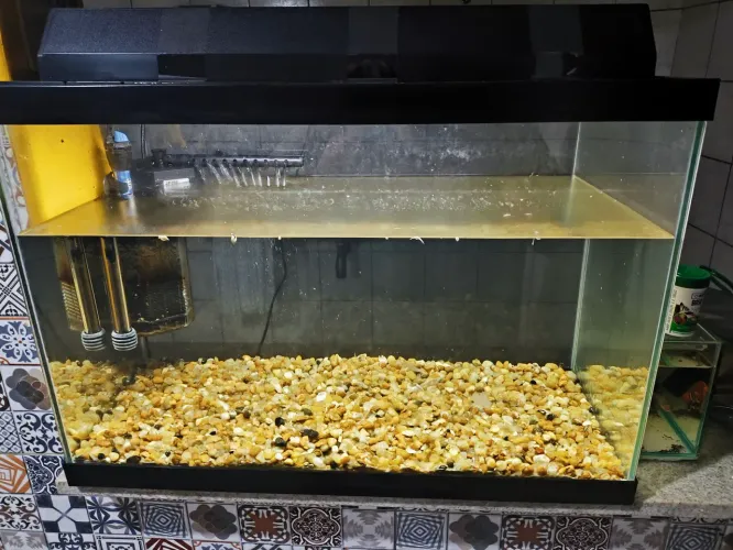Vendo Aquário grande 80l COMPLETO 