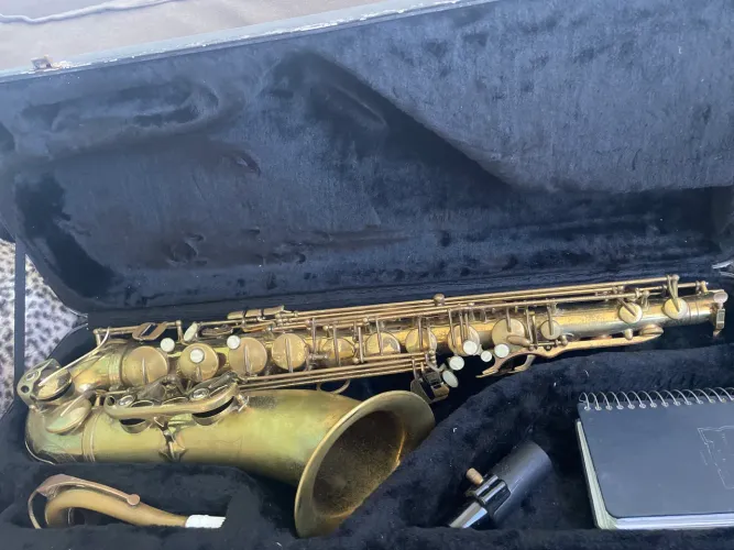 sax tenor dolphin