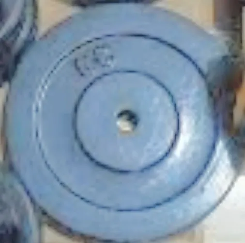 Vendo ANILHAS somente de 10kg