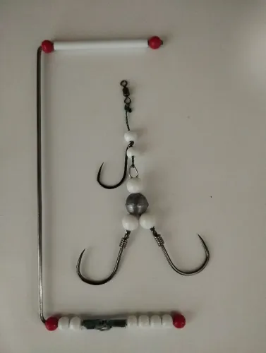 Tesourinha e dedo duro pesca tilápia no relo