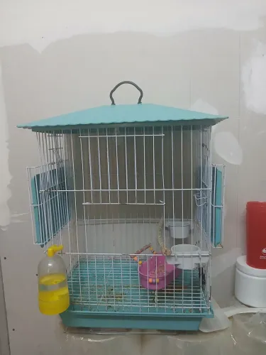 Vendo uma gaiola de passarinho