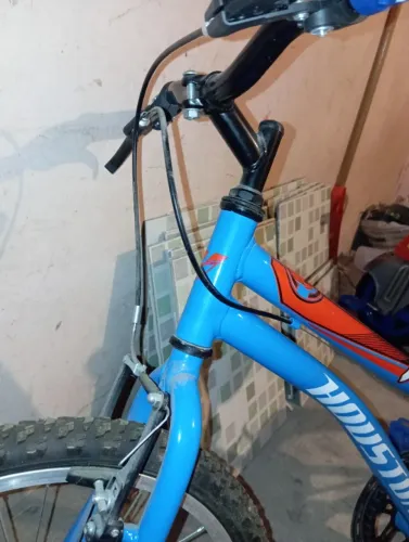 Bicicleta aro20