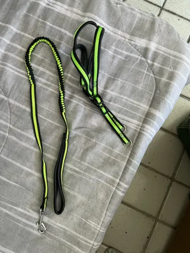Coleira guia e peitoral para cachorro