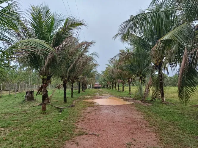 Sítio com 28 hectares em Pres. Figueiredo