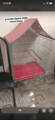 Vendo essa gaiola. Única dona! *68