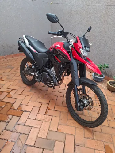 Vendo lander 