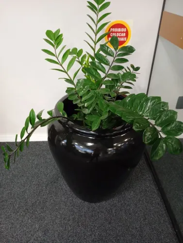 Vaso de planta