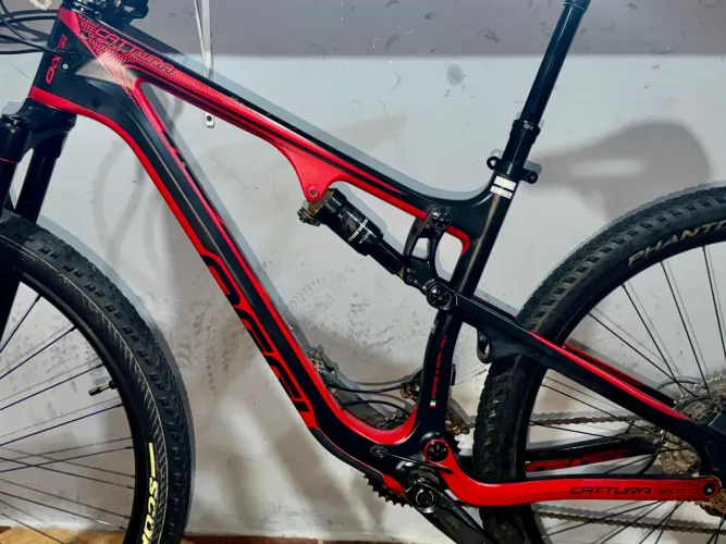 Quadro Oggi Cattura Sport - Carbono - M