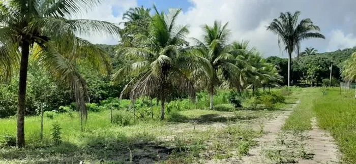 Granja proximo ao condominio riserva alhandra