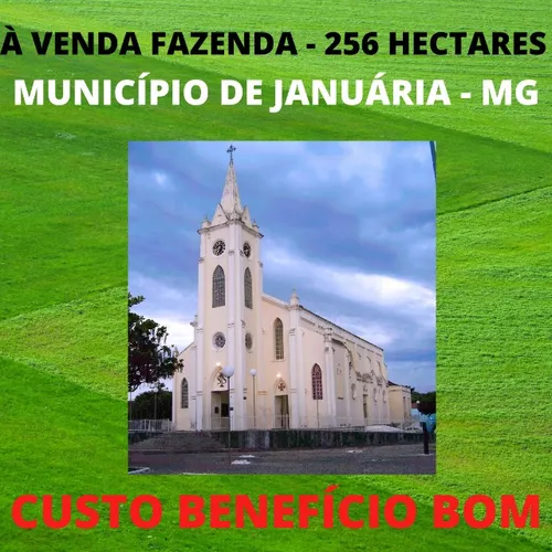Fazenda em Januária 256 hectares 