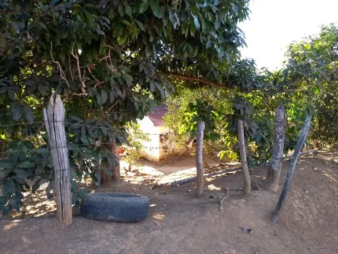 Sitio venda em São João Nepomuceno MG 75.000 M²