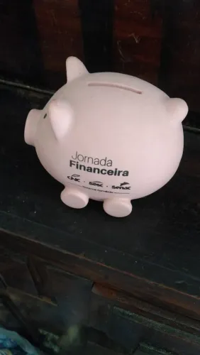 Cofrinho Porquinho Jornada Financeira