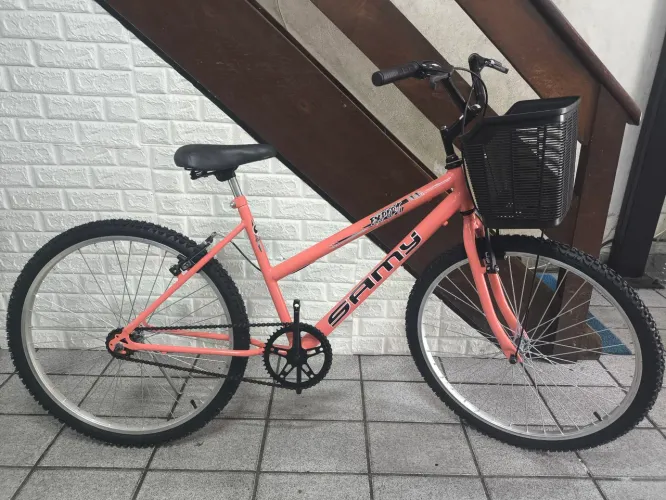 Bicicleta Sammy Export Aro 26