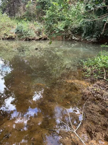 Fazenda 25 ha em Baldim casa e água no fundo