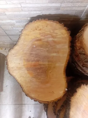 Toras de Madeira para Decoração de Jardim