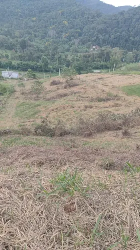 Terreno à venda, Pedro do Rio, Petrópolis, RJ