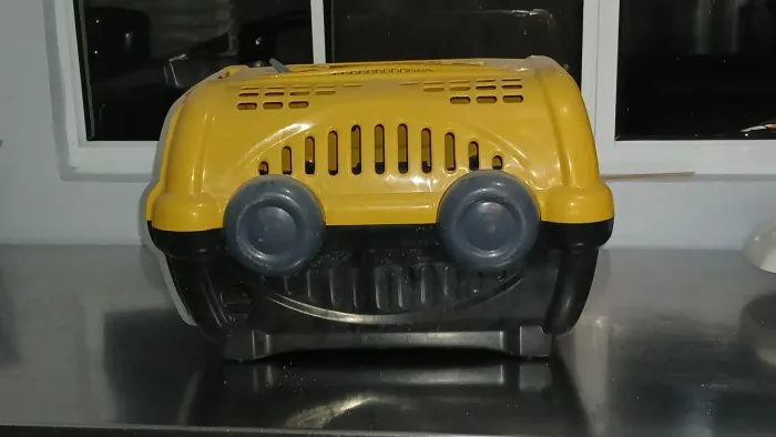 Caixa transporte para pet