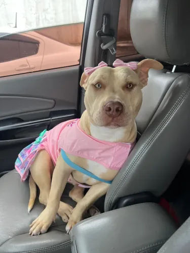 Pit monster 