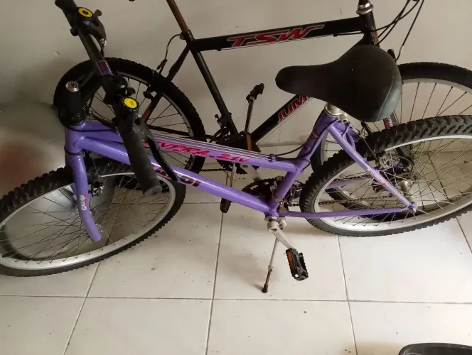 Duas bicicleta masculina e feminina