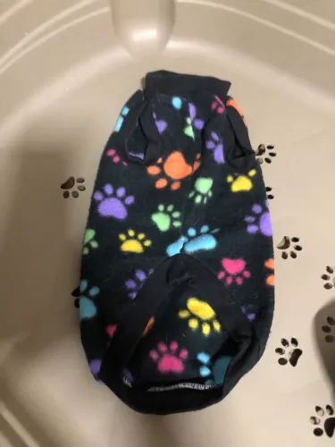 Roupinha pet