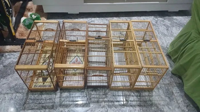 Gaiola voadores 50C 30A 20L