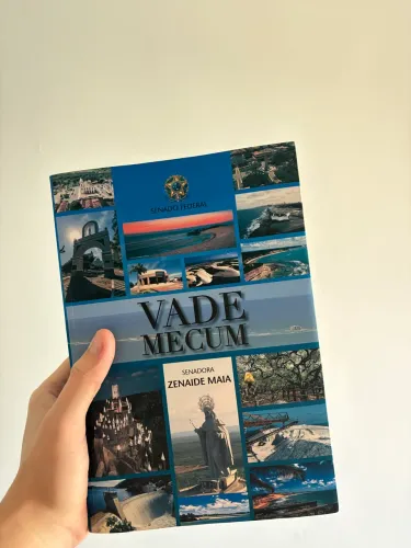 Livro Vademecum de direito