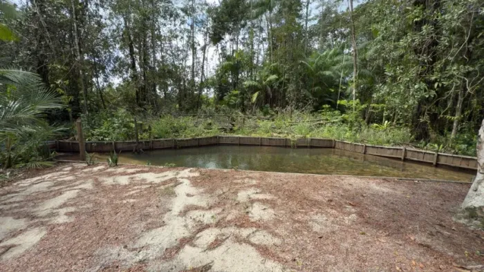 VENDO SÍTIO LOCALIZADO PRÓXIMO DA AGROVILA DE IARACEMA