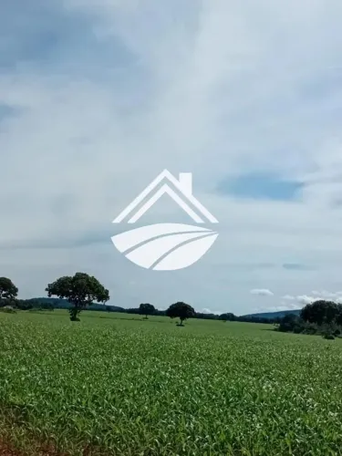 Fazenda para Venda em Talismã, área rural de ampla expansão agropecuária