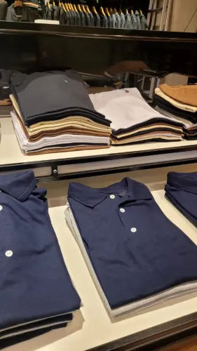 Lote de Camisetas Básicas Lisas