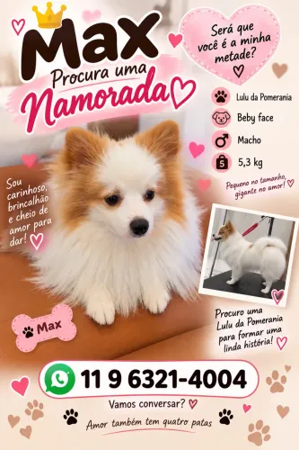  Namorada  para meu Max 