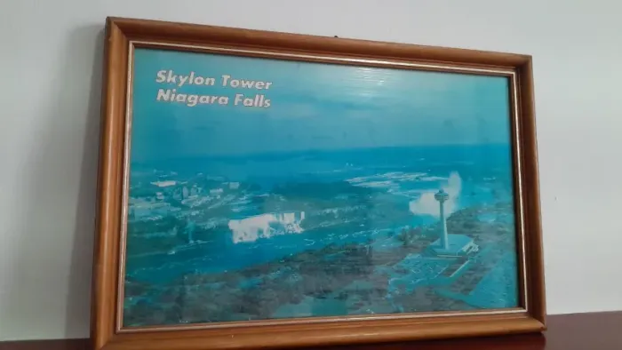 Quadro Vintage Niagara Falls Skylon Tower Moldura Madeira 49x33