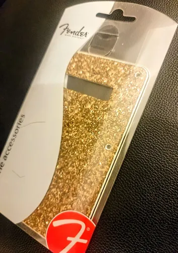 De$330 por$290 Fender escudo traseiro dourado gold aged glass back plate