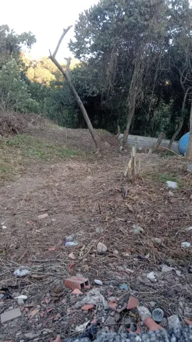 Vendo terreno plano c/130m2, R.Alfeu de Oliveira/R$136 mil/c/escritura/Sant. de Parnaíba/P